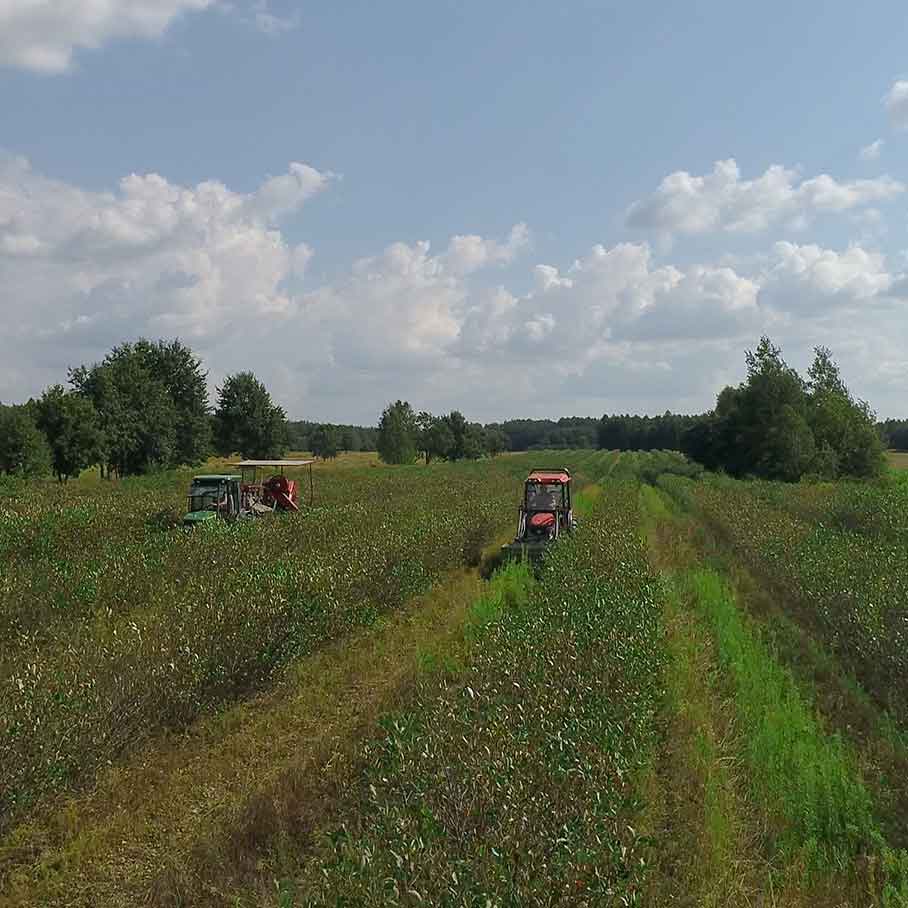 Korab Garden ecological cultivation